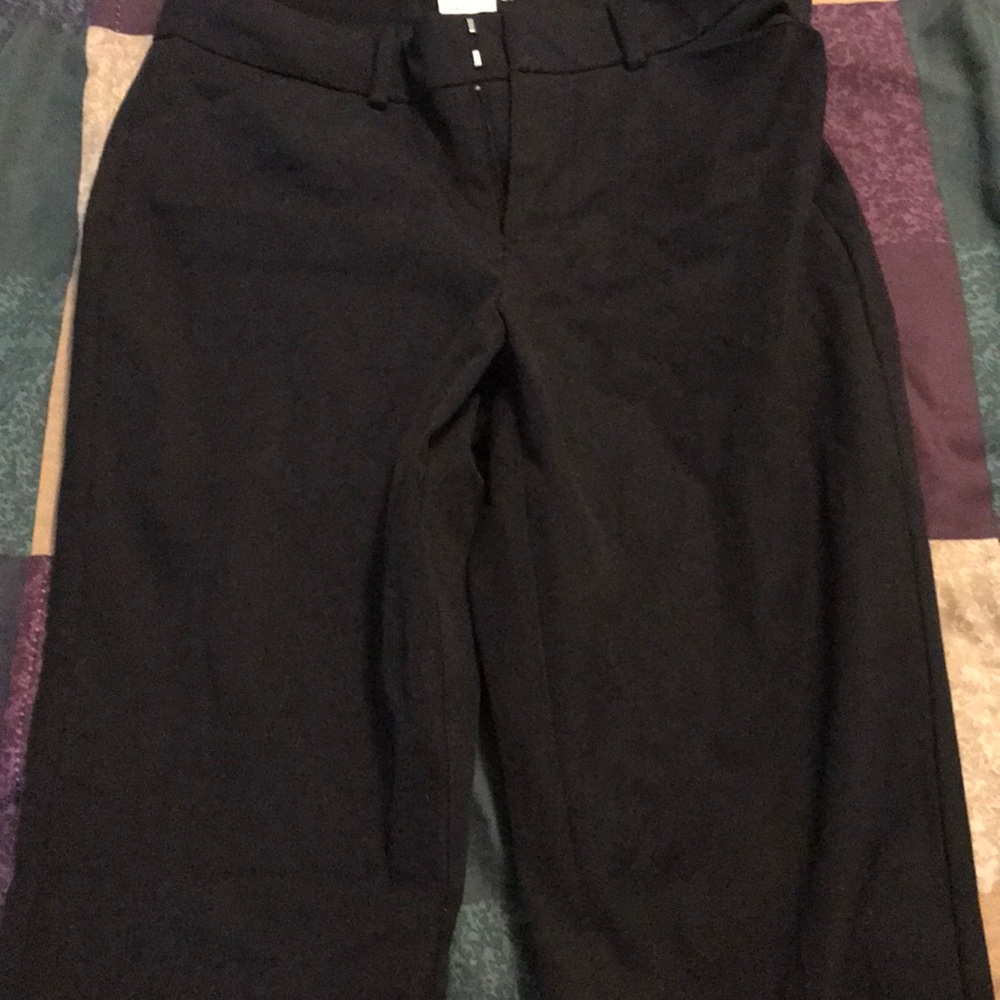 Dress pant